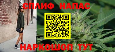 ГАЛЛЮЦИНОГЕННЫЕ ГРИБЫ Камышлов