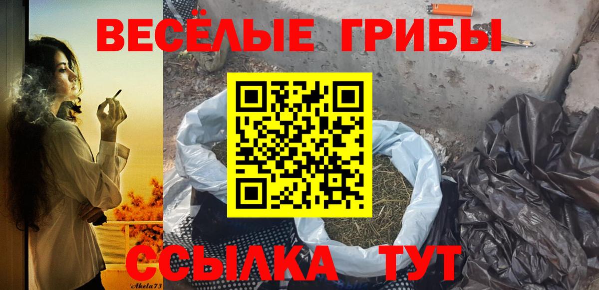 Кострома  Галлюциногенные грибы прущие грибы  Псилоцибиновые грибы Psilocybine cubensis  Вход с VPN 
